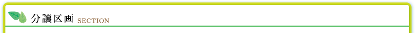 分譲区画　SECTION